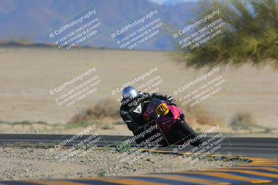 media/Feb-04-2023-SoCal Trackdays (Sat) [[8a776bf2c3]]/Turn 4 (Tree of Life 2pm)/